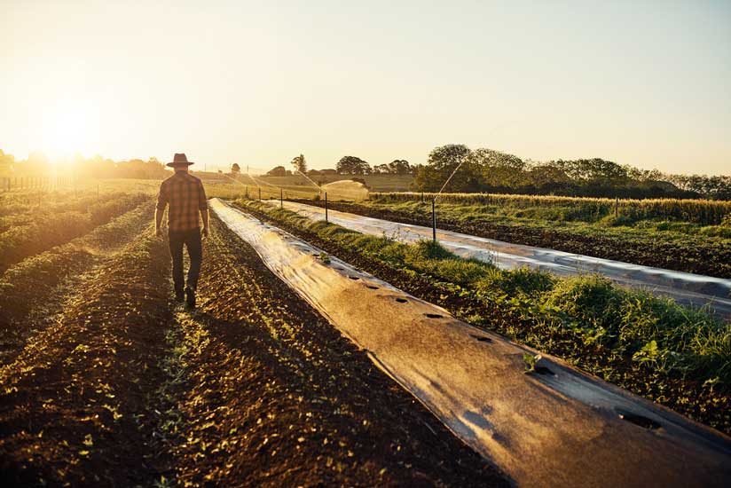 Organic foods might have more nutrients than non-organic.